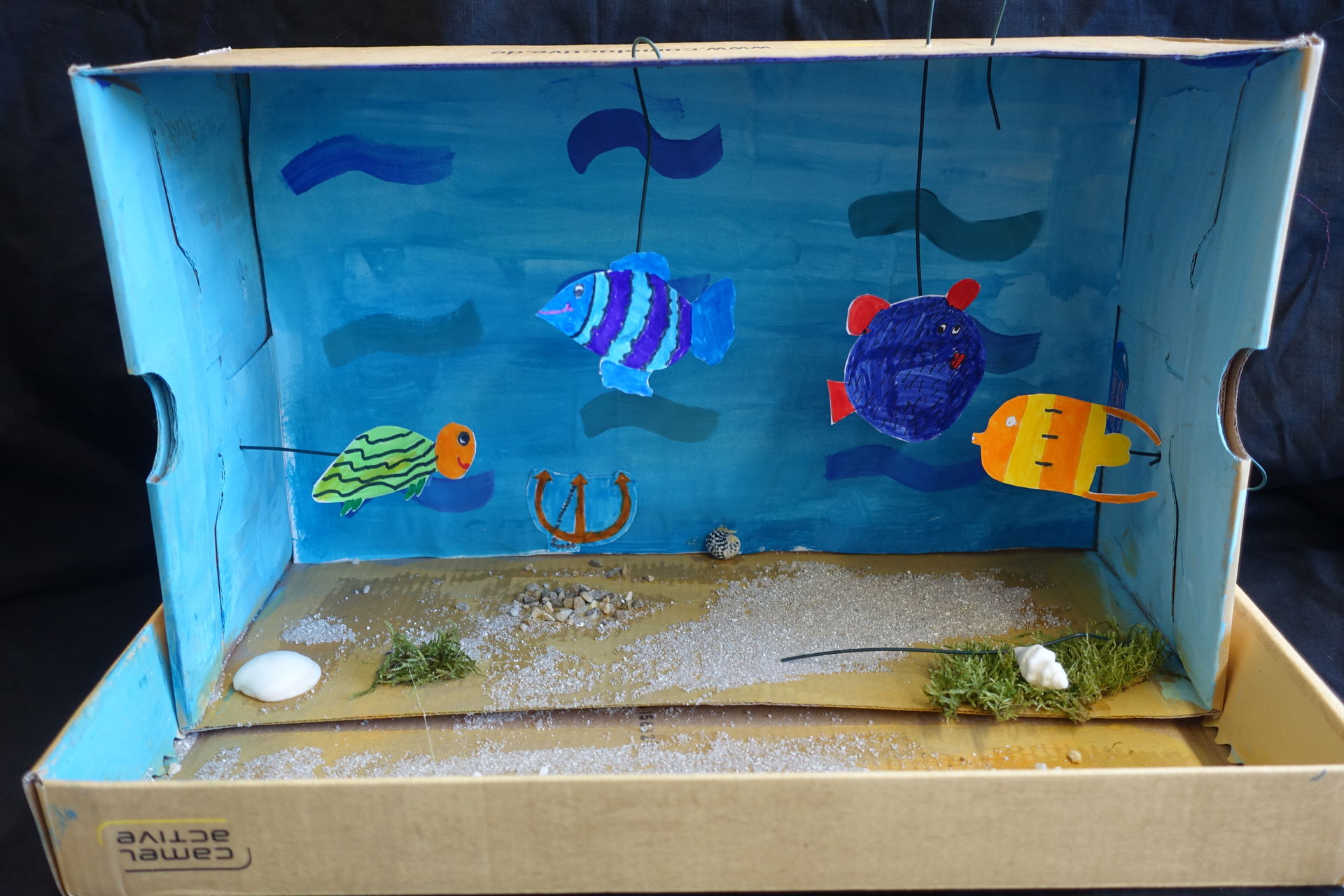 Der Karneval Der Tiere Aquarium Karneval der Tiere - Tania Schnagl